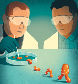 Illustration of scientists working on active matter that is walking out of a petri dish
