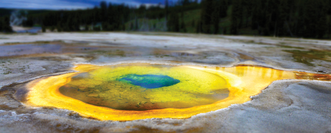 HARDY: The colors in this Yellowstone hot spring show bacteria that survive as temperatures drop.
