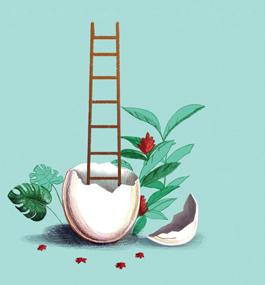An illustration of a hatched egg with a ladder going up at its center