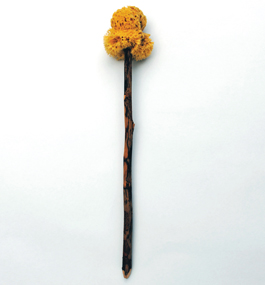 COMMUNITY PROPERTY: Replica of a Roman latrine’s sea-sponge-on-a-stick.