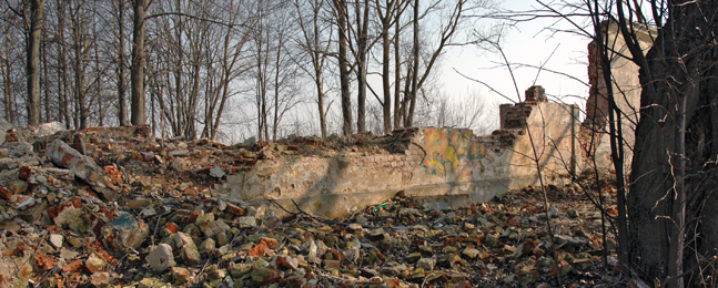 A mostly eroded wall and loose bricks surrounded by leafless trees.