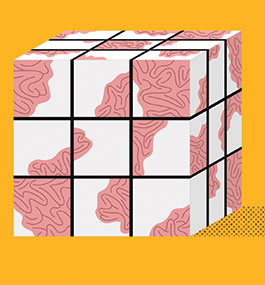 An illustration of an out-of-order Rubik's Cube of brain segments.