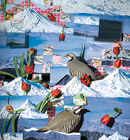 A collage showing images of birds and tulips against a background of snow-peaked mountains.
