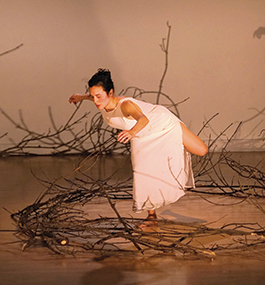 Photo of a female dancer balancing on one foot inside a ring that looks like a circle of briars.