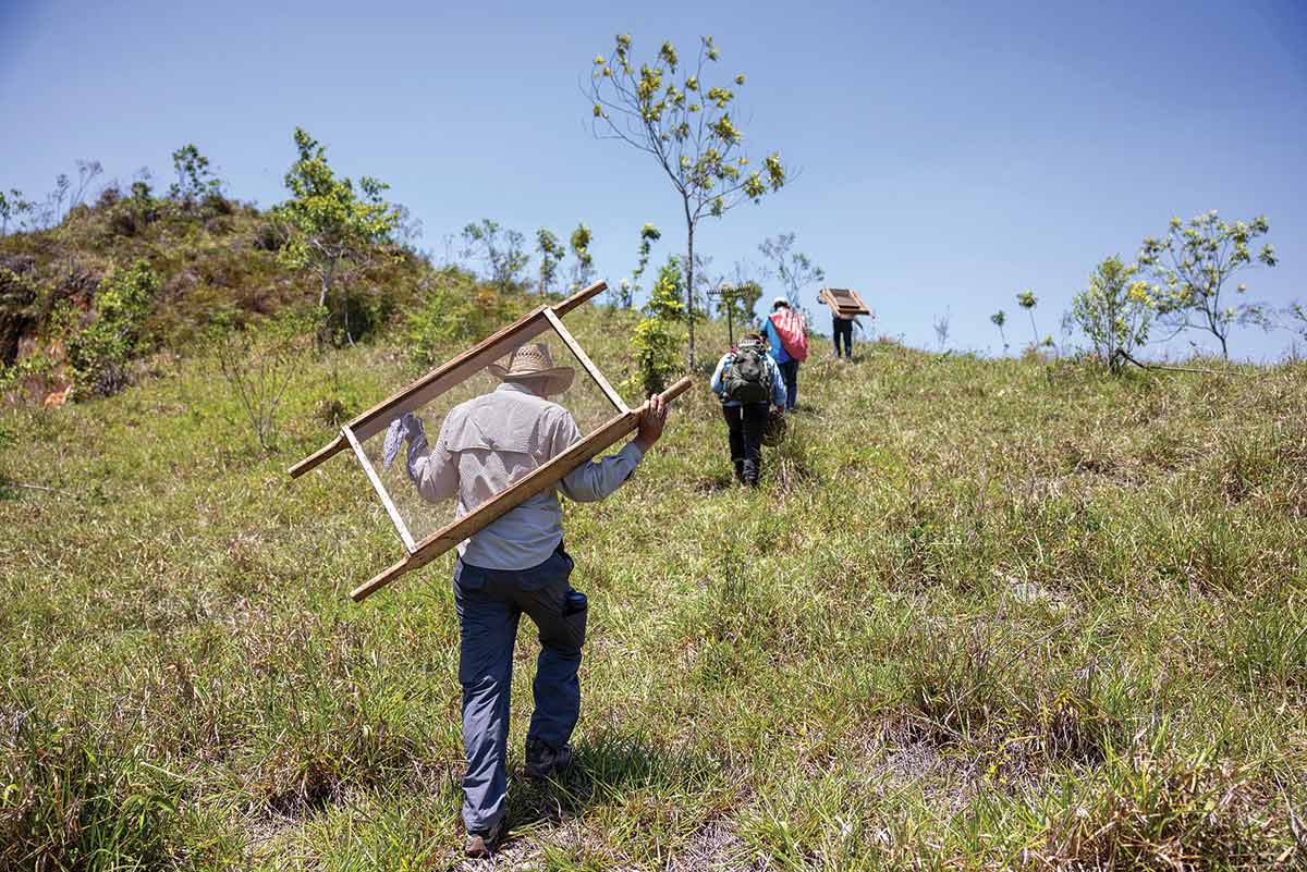 Four people walk up a hillside carrying gear on their backs.