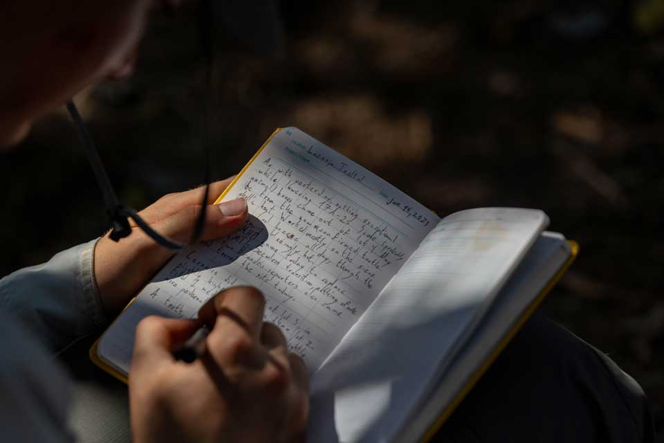 Writing in a drone