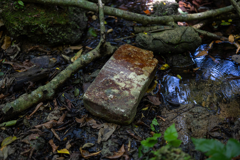 A Maya tablet lays in a stream