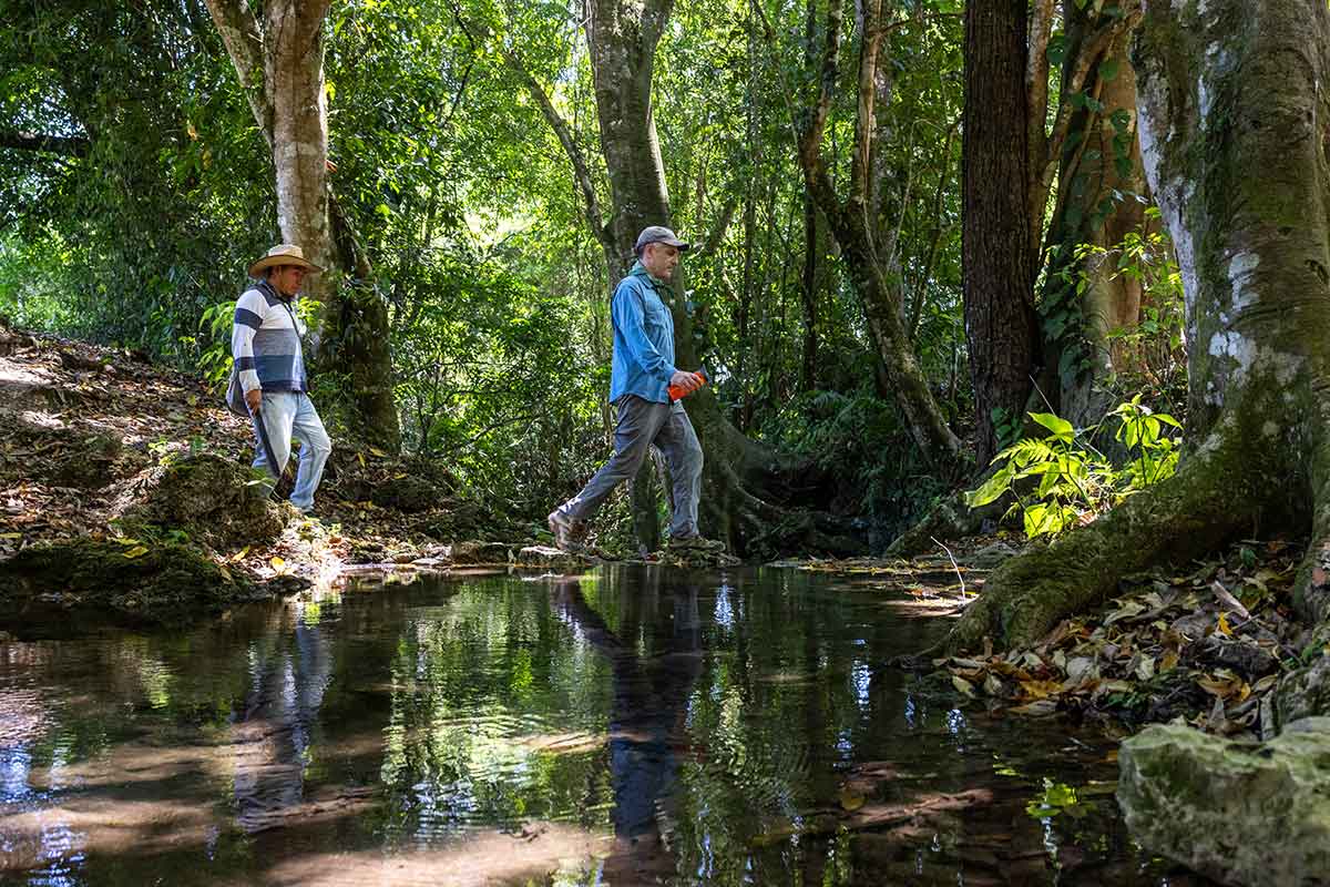 Two people walking through the jungle, one on land and one crossing over water