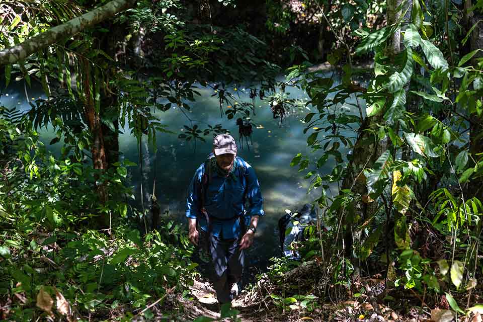 Charles Golden walking through a jungle, his head down, keeping an eye on the path below