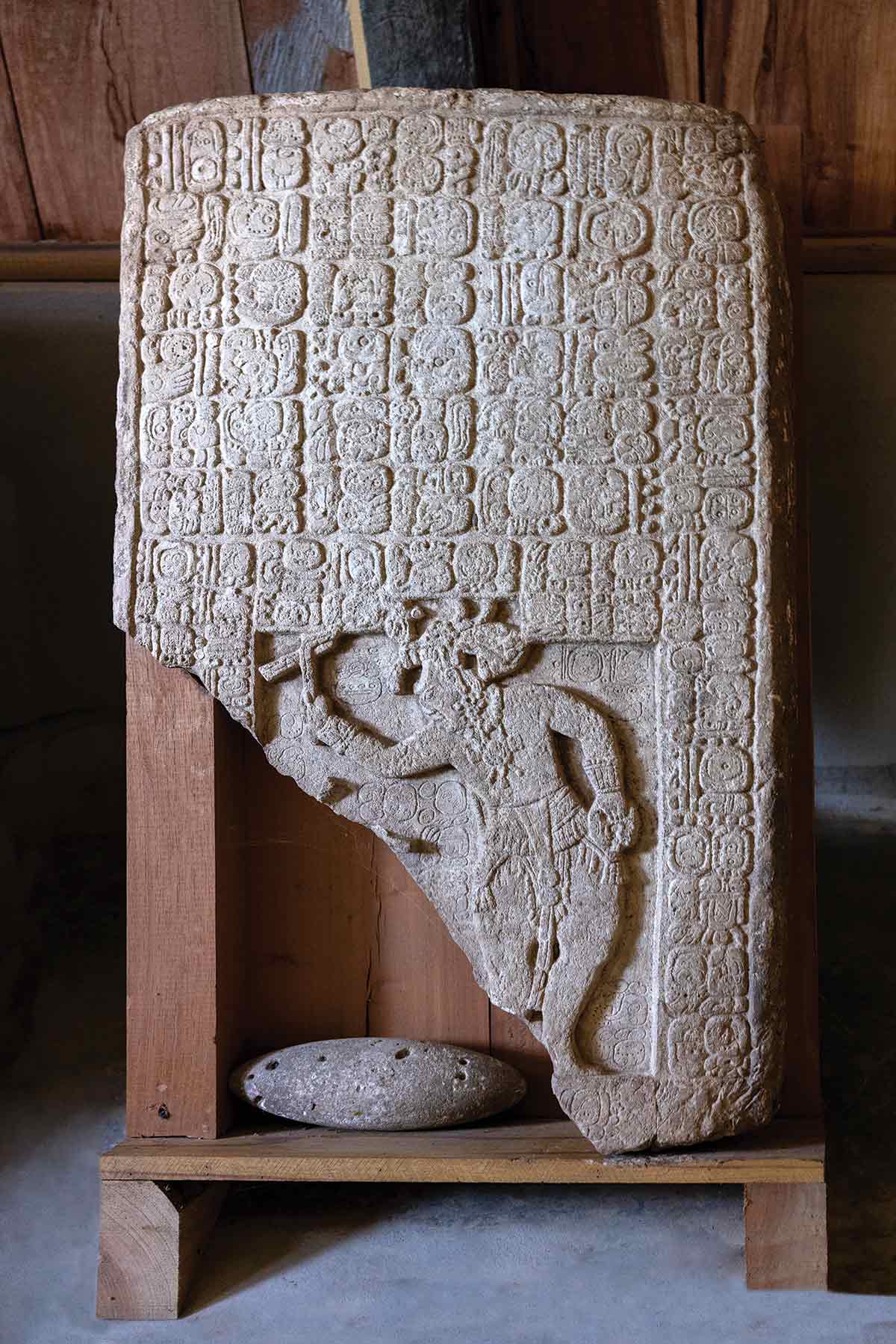 Stelae panel