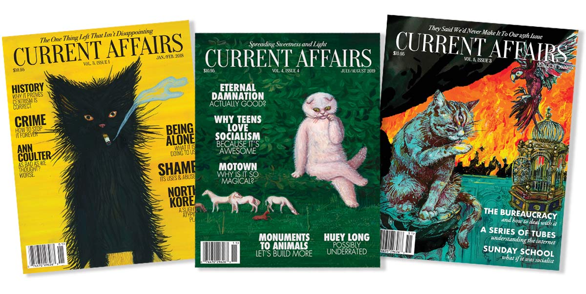 Three covers of magazine, Current Affairs, each with a colorful background and featuring a cat.