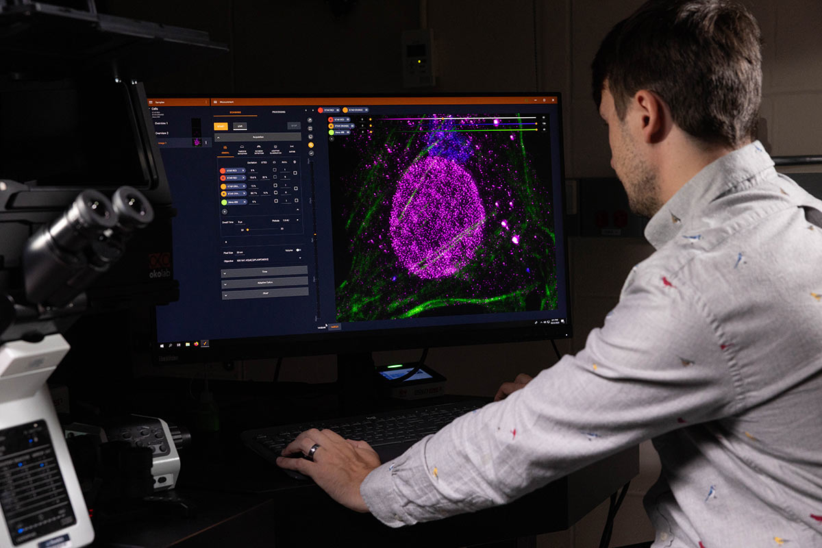 Light Microscopy Facility Manager, Dr. Andrew Stone, works with the STED super-resolution microscope 