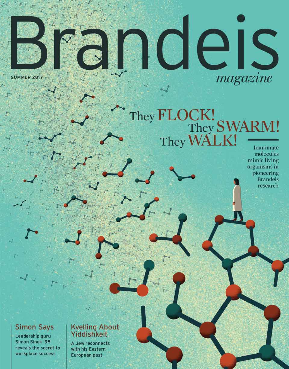 Summer 2017 Brandeis Magazine cover featuring an illustration of a scientist standing on a molecular bond watching the pieces of molecule fly away like birds. Text reads They Flock! They Swarm! They Walk!