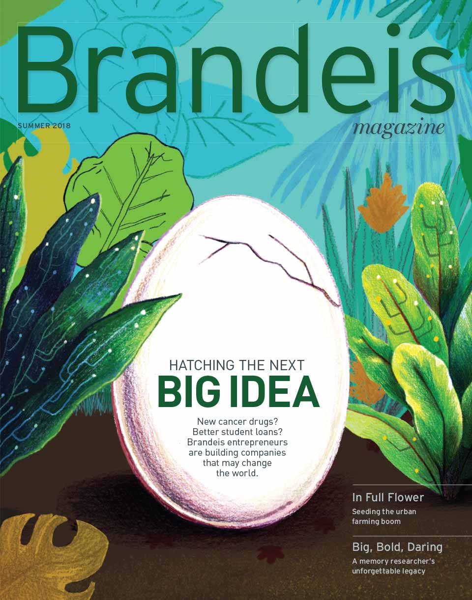 Summer 2018 Brandeis Magazine cover with an illustration of an egg hatching and text that reads Hatching the Next Big Idea