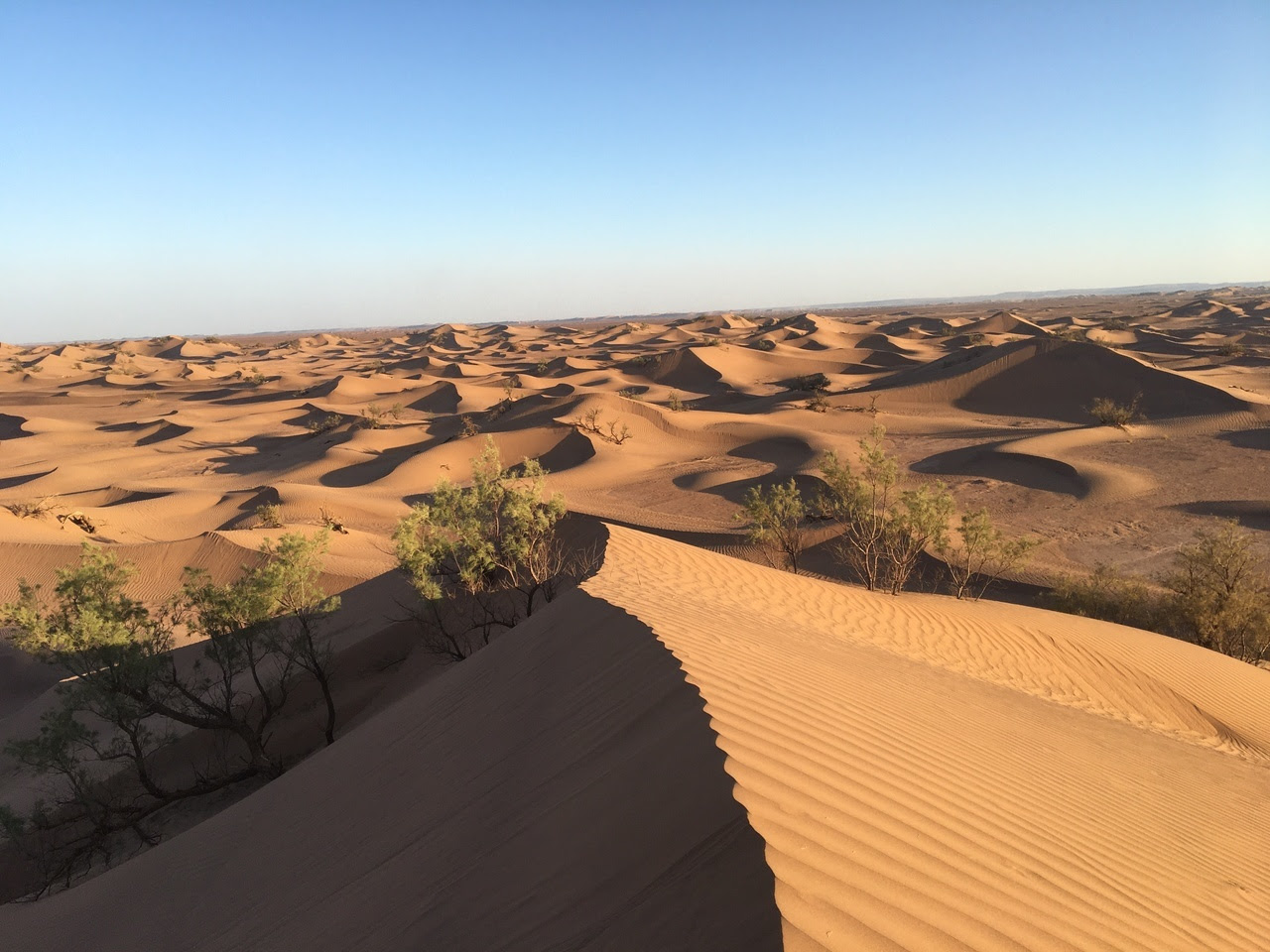 image of dunes in a desert