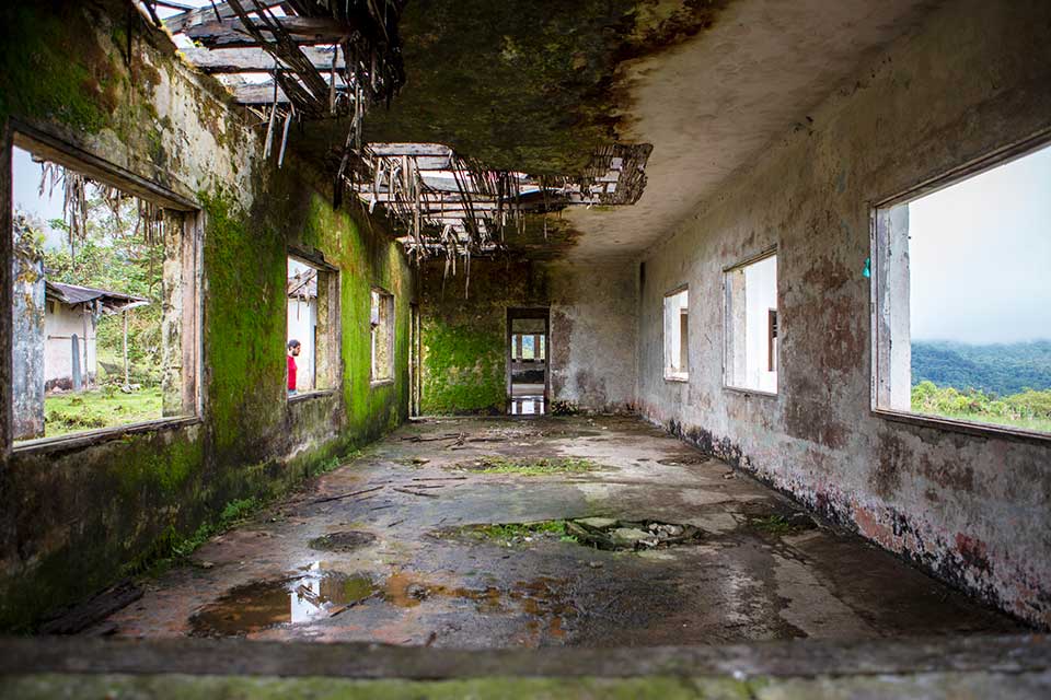 Photo of deserted building in Columbia with plants dangling from roof and walls