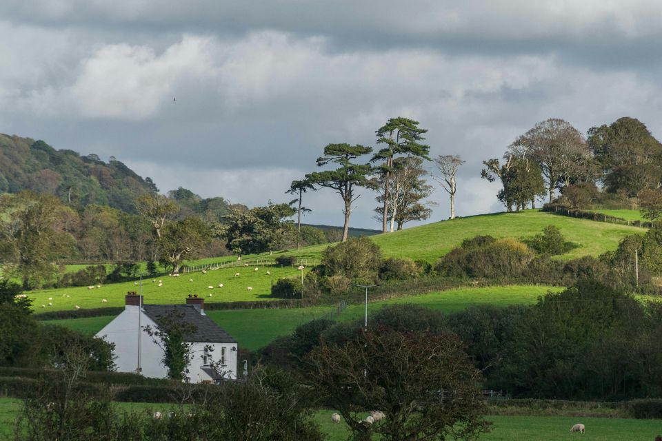 A landscape from Cornwall