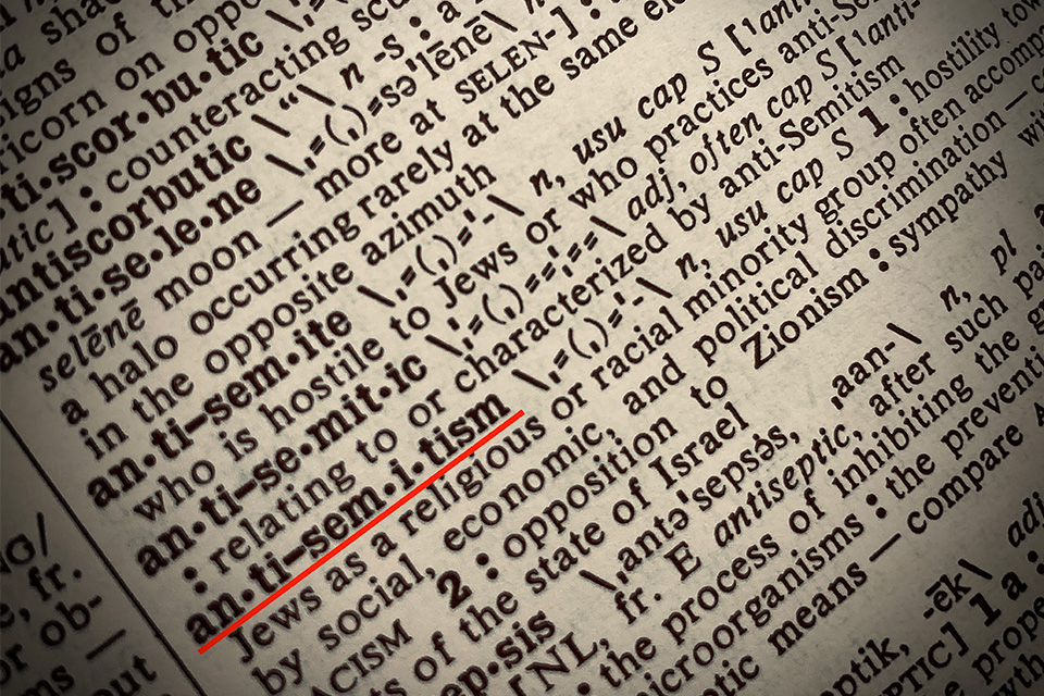 Dictionary definition of the word antisemitism