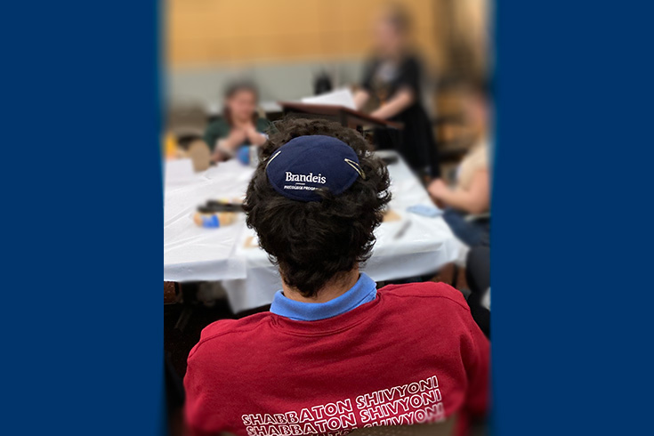 Back of Brandeis student sitting around a blurred learning environment