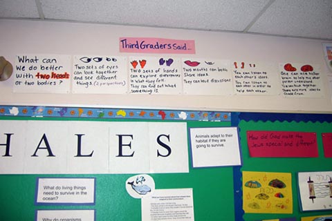 Bulletin board with a sequence of papers with questions, the first of which reads: What can we do better with two heads or two bodies?