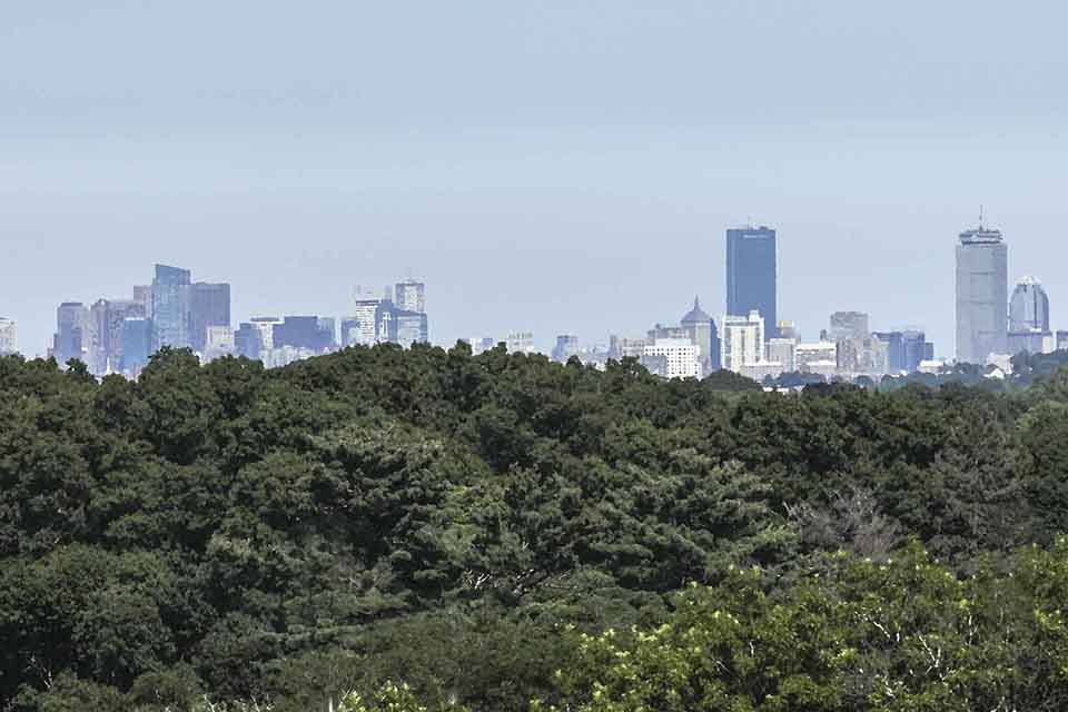 View of Boston skyline from Brandeis