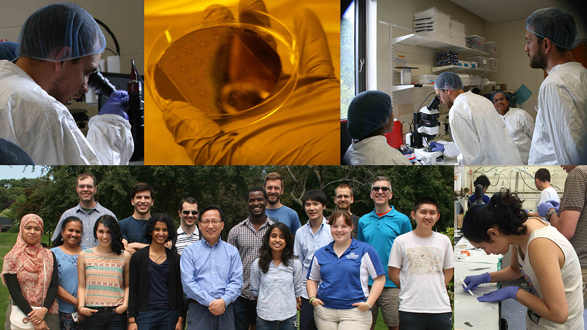 Microfluidics course 2017: A collage of students working in the lab and a group photo.