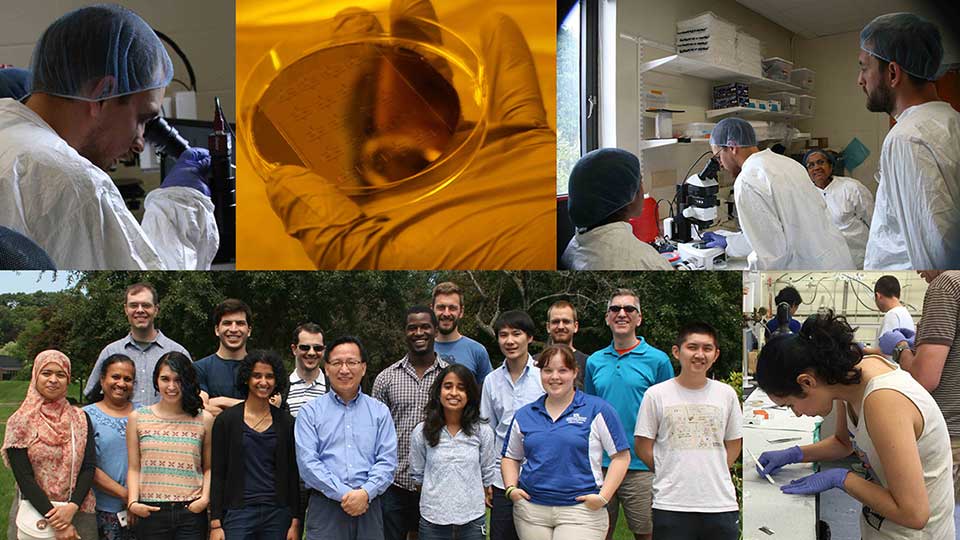 Microfluidics course 2017: A collage of students working in the lab and a group photo.