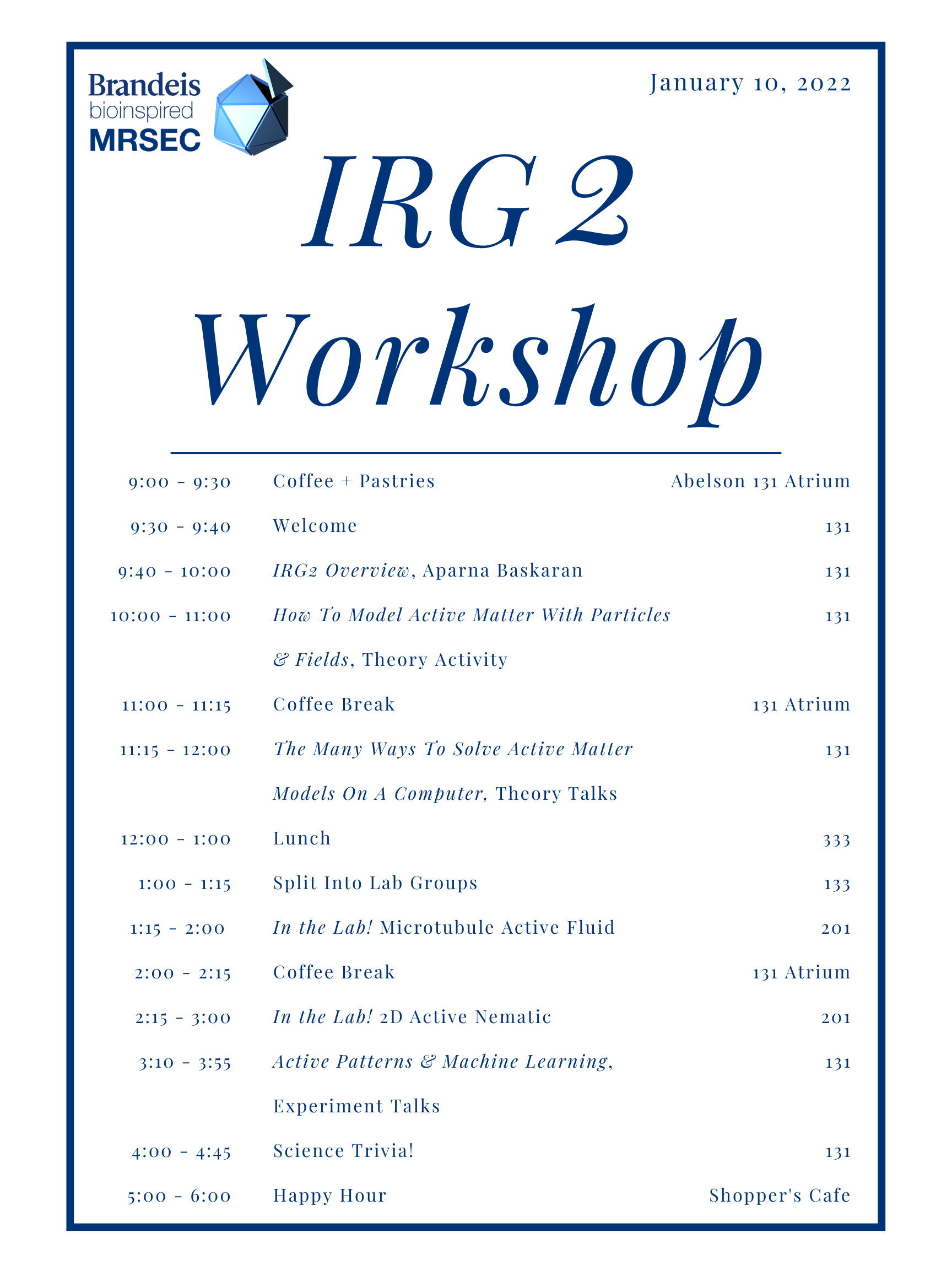 Schedule for IRG2 Workshop