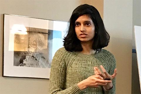 Minu Varghese giving a talk: "Active incipient nematics"