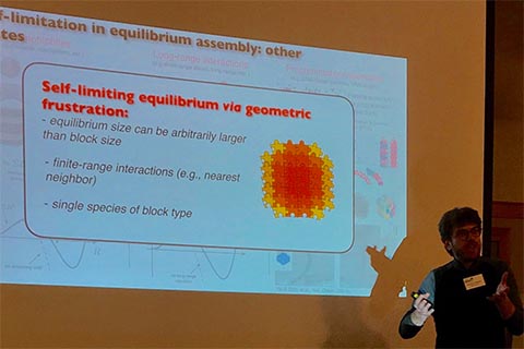 Participant presenting talk. Slide is titled "Self-limiting equilibrium via geometric frustration." Text on slide says:  -equilibrium size can be arbitrarily larger than block size; -finite-range interactions (e.g., nearest neighbor); -single species of block type.