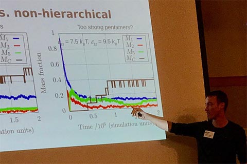 Participant presents talk. Slide is titled: "Hierarchical vs. non-hierarchical." Left chart is titled “Stronger pebntamers. Right chart is labeled: "Too strong pentamers?"  Vertical axes of the charts are labeled: "Mass fraction."  Horizontal axes of the charts are labeled: "Time 10 6 (simulation units)."