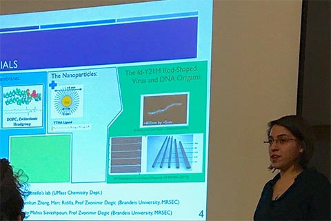 Woman presenting.  Slide is titled “Materials.”  3 sections of the slide are labeled “The Lipid Membranes,” “The Nanoparticles” and “The fd-Y21M Rod-Shaped Virus and DNA Origami.”