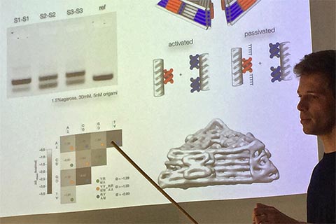 Participant presenting.  Slide title is: Binding Strength.  Two figures are labeled "Activated" and "Passivated." There are 2 other charts as well.