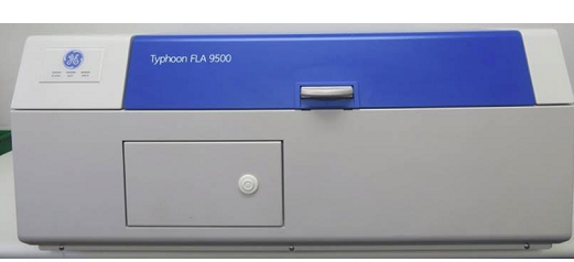 Typhoon FLA 9500 
