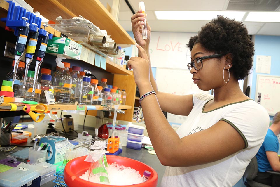 African-American student working in a lab, examining a test tube.