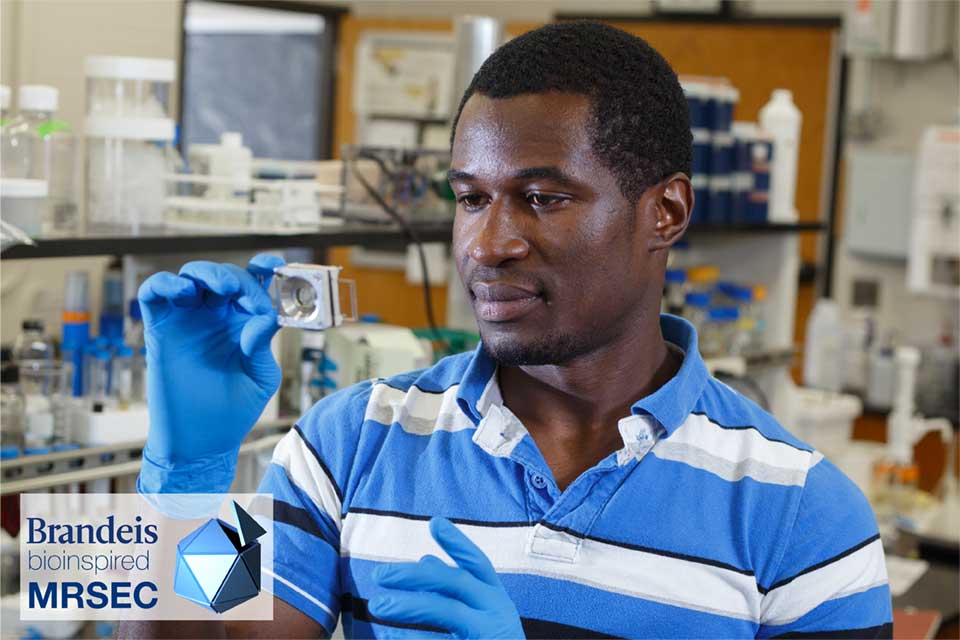 A man in a laboratory holding up a piece of scientific equipment and looking at it closely. 