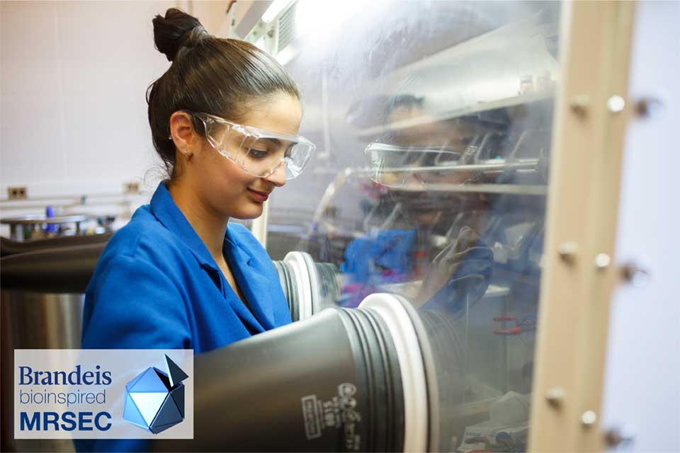 A woman wearing protective goggles using a glove box to handle objects in a laboratory. 