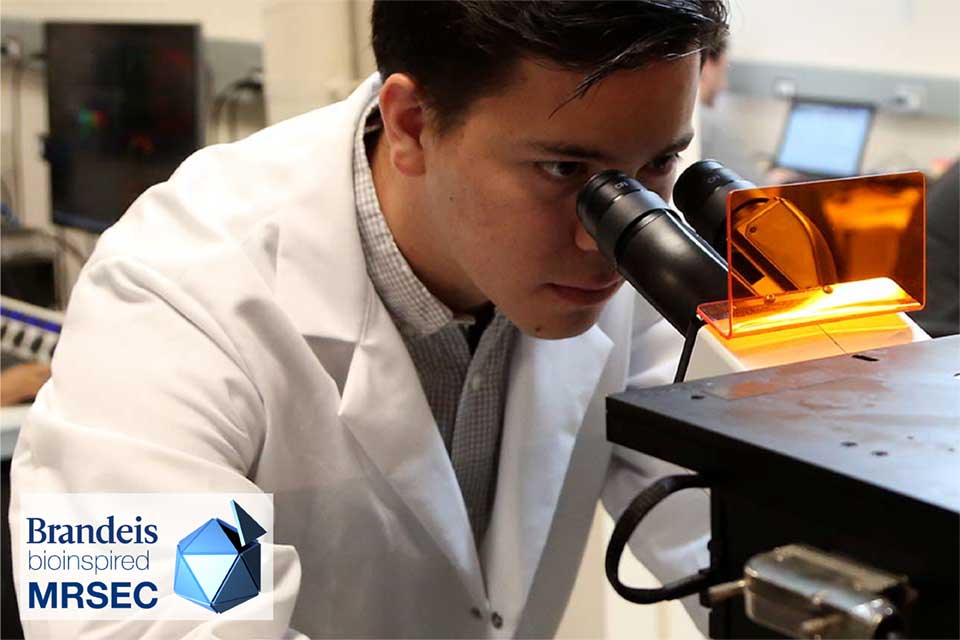 A man in a laboratory using a microscope to examine something.