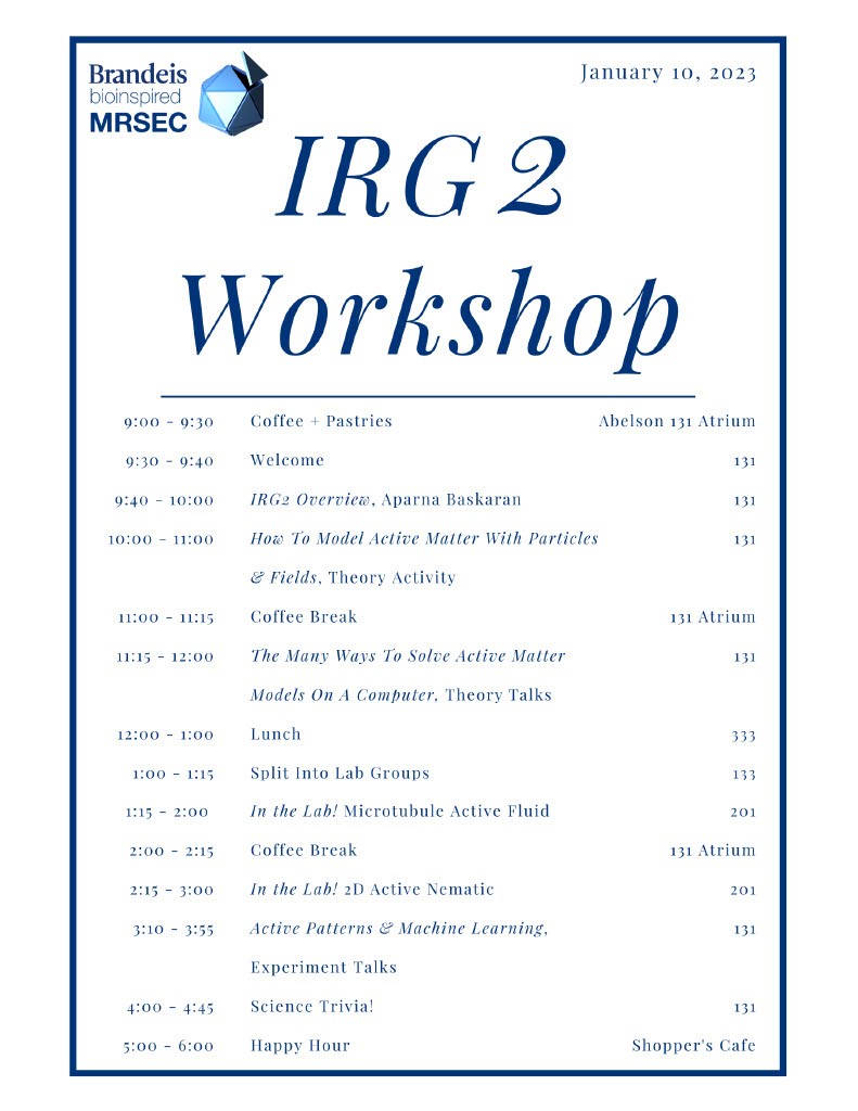 IRG2 Workshop Schedule