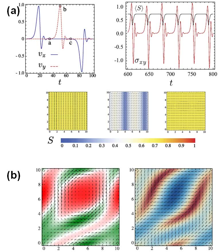 Theory predictions for a two dimensional system are shown. (a) Moderate activity. The components of the flow velocity, vx and vy, the shear stress (sxy) and the average value of the nematic order parameter, S, are shown as a function of time, exhibiting relaxation oscillations.  (b) Large activity. (left) The fluid flow field is superimposed on a plot of nematogen concentration. (right) The nematic director field is superimposed on a plot of the magnitude of the nematic order parameter, S.