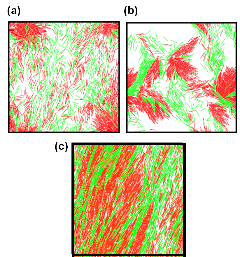 Three typical snapshots from simulations with (a) moderate density and low self propulsion speed, (b) moderate density and moderate self propulsion speed, and (c) high-density and moderate self propulsion speed. The snapshots have red and green  lines. The red are self-propelled rods and the green are passive rods.