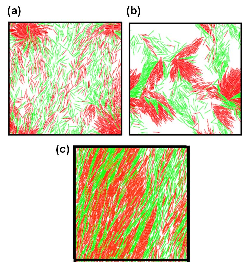 Three typical snapshots from simulations with (a) moderate density and low self propulsion speed, (b) moderate density and moderate self propulsion speed, and (c) high-density and moderate self propulsion speed. The snapshots have red and green lines. The red are self-propelled rods and the green are passive rods.