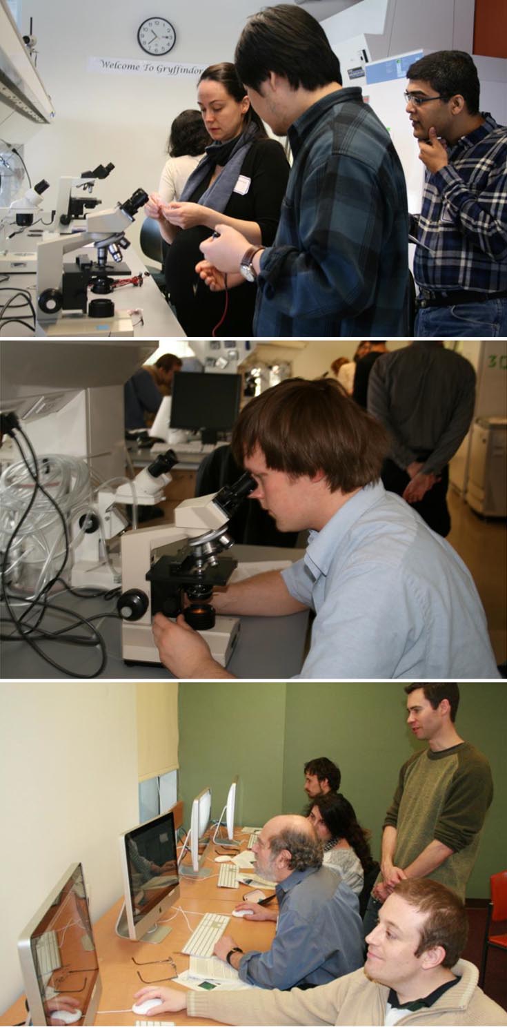 Three pictures of students working in labs, using microscopes and computers.
