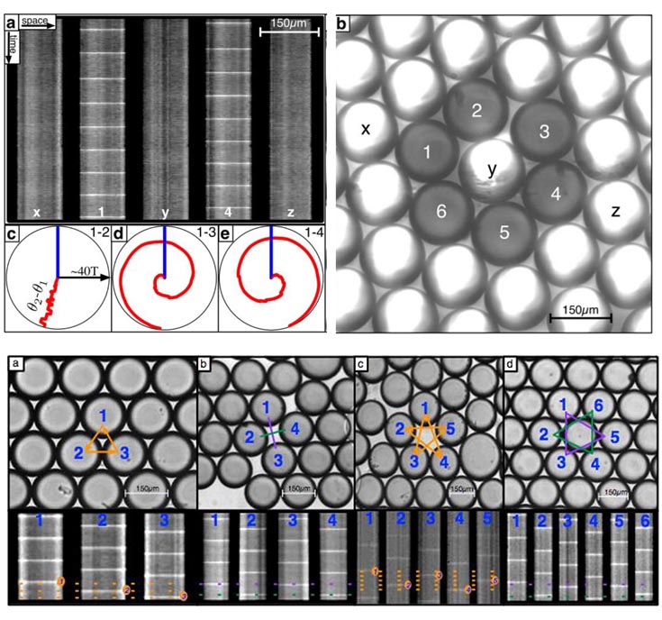 Upper set of 5 images: (a) grayscale iamge with 5 columns labelled: x, 1, y, 4 and z. Columns labelled 1 and 4 have 9 horizontal lines equally placed.  There is a label on the y zxis: time.  And the x axis = space.  At the far right it is labled 150um. (b) An image of numerous circles (drops?), all white with a ring of 6 gray drops labeled 1 - 6. In the center of the gray circle is a drop labeled "y".  To the right of the circle is an adjacent drop labled "z", to the left of the circle is an adjacent drop labeled "x". (c), (d) and (e) show circles with a vertical blue radius.  From the center in each circle is a red line.  in "c" it is a squiggly line. The other 2 are spirals. c is labeled "1-2". d is labeled 1-3 and 3 is labeled 1-4.  Lower set of 4 images: Each shows a group of drops with lines creating a pattern.  a is a triangle with the 3 drops numbered 1, 2, 3.  b has 4 drops in the center labeled 1, 2, 3, 4 with a line connecting 1 and 3, and a line connecting 2 and 4.  3 has 5 crops labeled 1-3\5.  The lines that connect them create a 5 pointed star.  d has 6 circles with lines connecting them creating a 6-pointed star.  Below each of these is a set of 3, 4, 5 and 6 columns with horizontal lines.