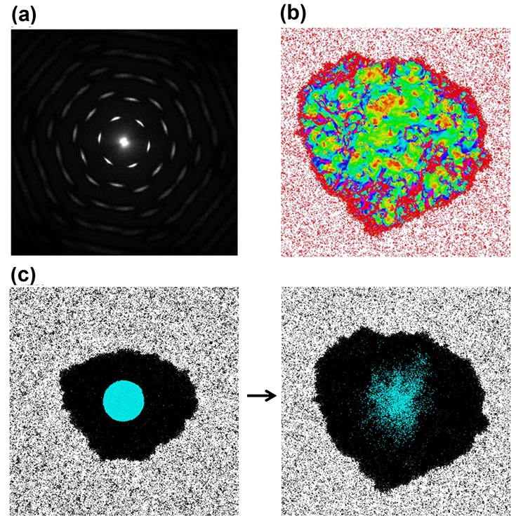 Fig (a): The structure factor for an example active crystal showing crystallinity. Fig (b): Instantaneous speed of particles within the system, illustrating the inhomogeneous motion within the crystal. Fig (c): (2 images with an arrow connecting them) Particles in the active crystal undergo diffusion. The image shows the analog of a FRAP experiment. The particles which start in the center are labeled blue; the image to the right shows a snapshot after evolution of the dynamics. 