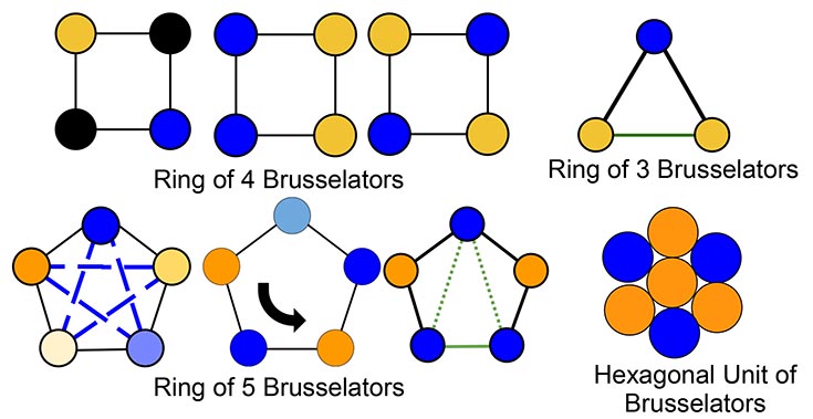 4 diagrams of Brusselators constructed of blue, gold, orange and black circles, and connecting lines and arrows. Upper Left diagram: Ring of 4 Brusselators. Upper Right: Ring of 3 Brusselators.  Lower Left: Ring of 5 Brusselators.  Lower Right: Hexagonal Unit of Brusselators.