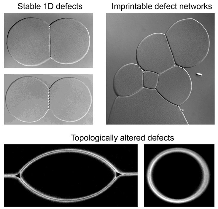 3 sets of grayscale optical microscopy images. Upper left images are labeled "Stable 1D defects. Upper right image is labeled "Imprintable defect networks. Two lower images are labeled "Topologically latered defects."
