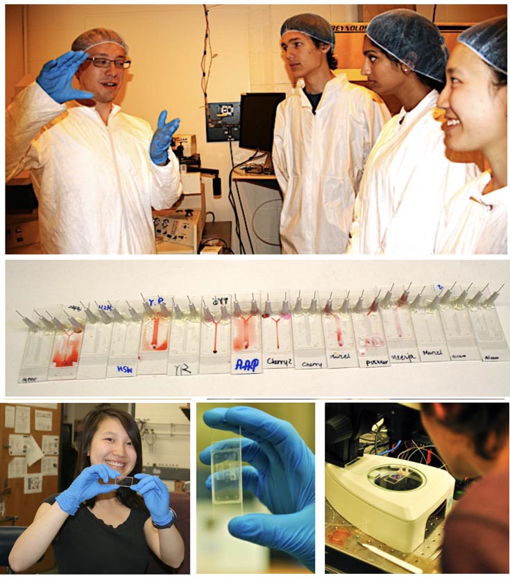 Five pictures from the summer course: Three images of students working in the lab, all wearing blue gloves. One image of some lab samples and one closeup of a blue gloved hand holding a slide.