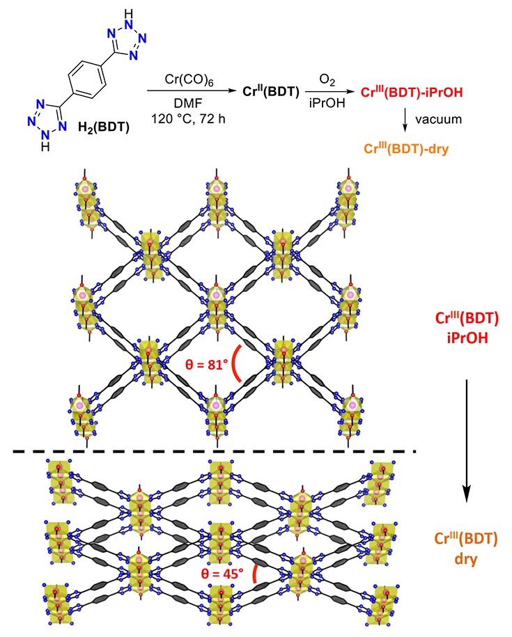 Diagram of Cr(II) ions oxidized to Cr(III) upon exposure to O2, and diagrams of the crystalline structure undergoing accordion-like distortion.