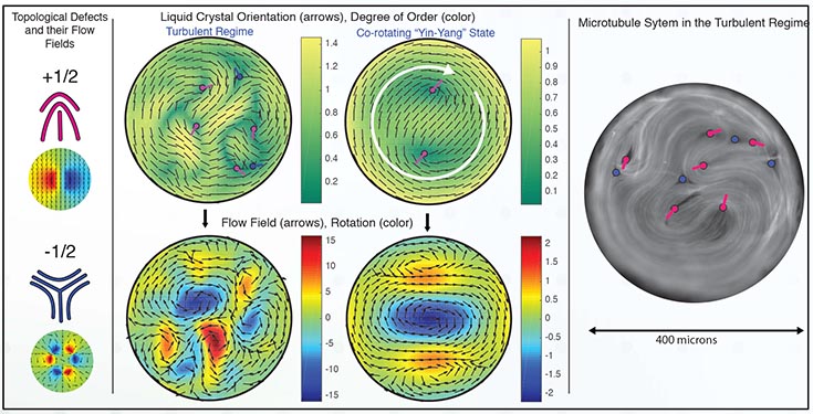 Diagram with 3 sections.  The left section is labeled "Topological Defects and their Flow Fields." The central section is labeled "Liquid Crystal Orientation (arrows); Degree of Order (color)" and has 4 disc shaped corrals arranged in 2 columns of 2, each with a spectrum to its right. The left column is labeled "Turbulent Regime." The right column is labeled "Yin-Yang State."  The bottom row in this section is labeled "Flow Field (arrows), Rotation (color)." On the far right an image from the experiment shows the turbulent regime.